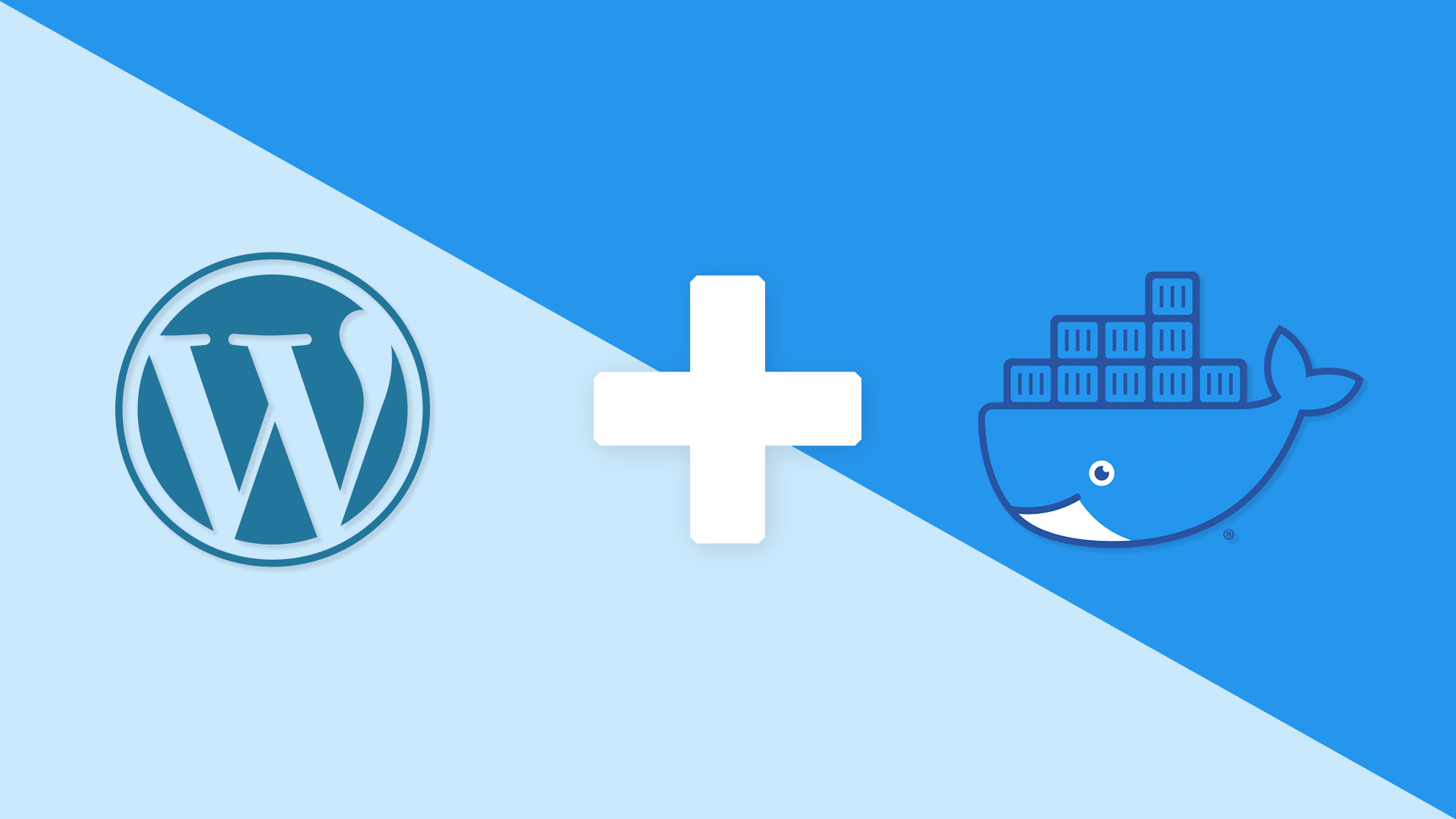 WordPress Docker Development Set-Up with Traefik, Redis, and Nginx